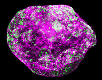 Purple spherical object with bright green dots