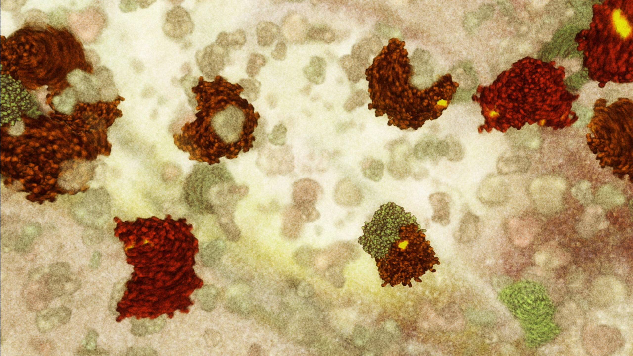 Apoptosis molecular scissor proteins.