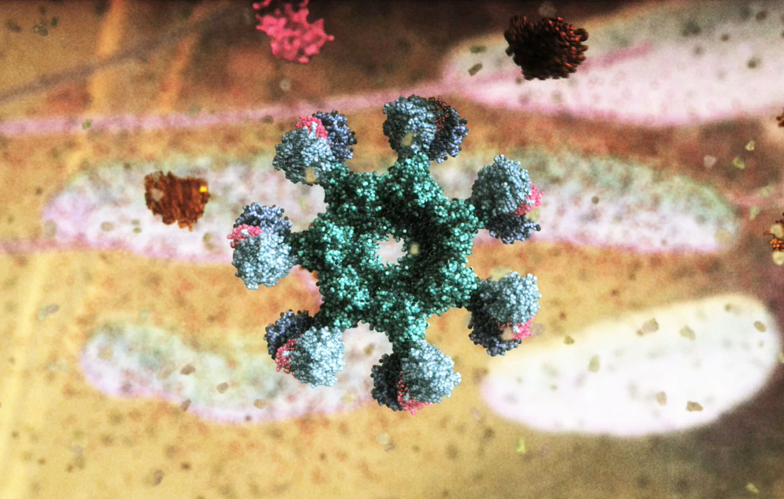 Molecular visualisation of the apoptosome, also known as the 'Wheel of Death'