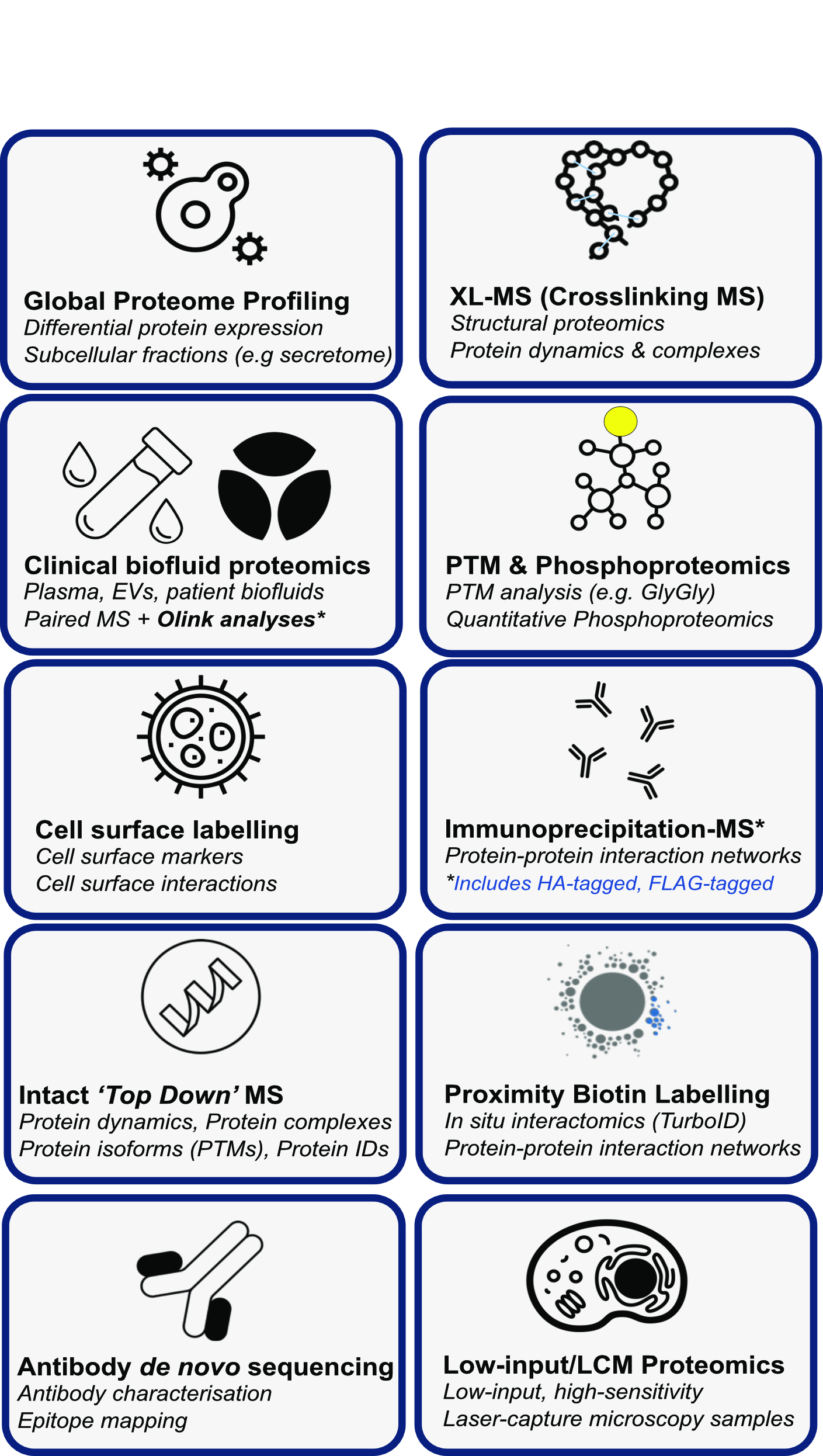 Proteomics workflow