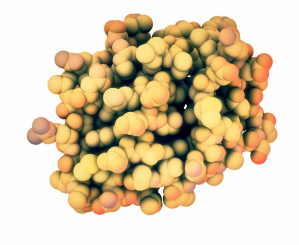 A molecule of GM-CSF, which can be used to help boost infection-fighting white blood cells in people.