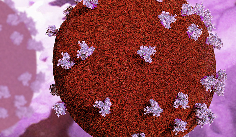 Visualisation of HIV virons