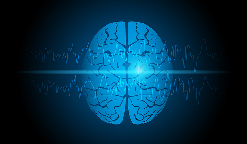 A computer generated bird's eye view of an image of a human brain displayed in blue
